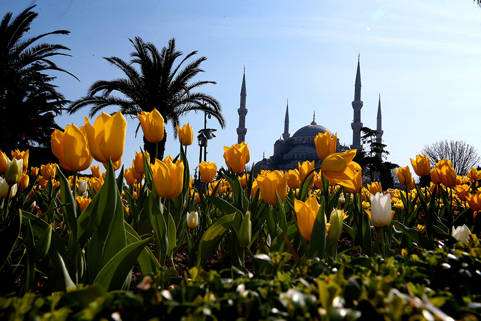 ANADOLIJA/Şebnem Coşkun