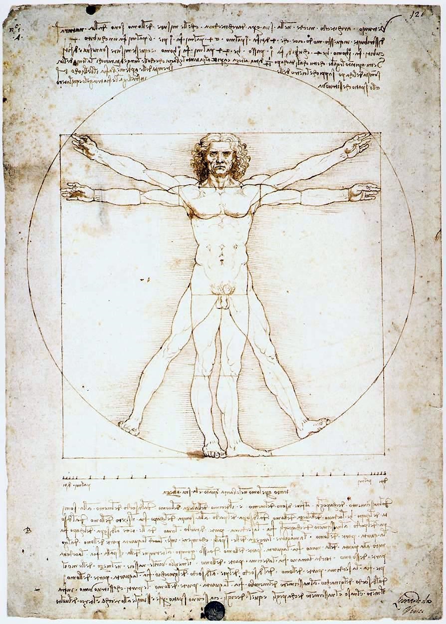 leonardo-da-vinci-vitruvian-man-216424.jpeg