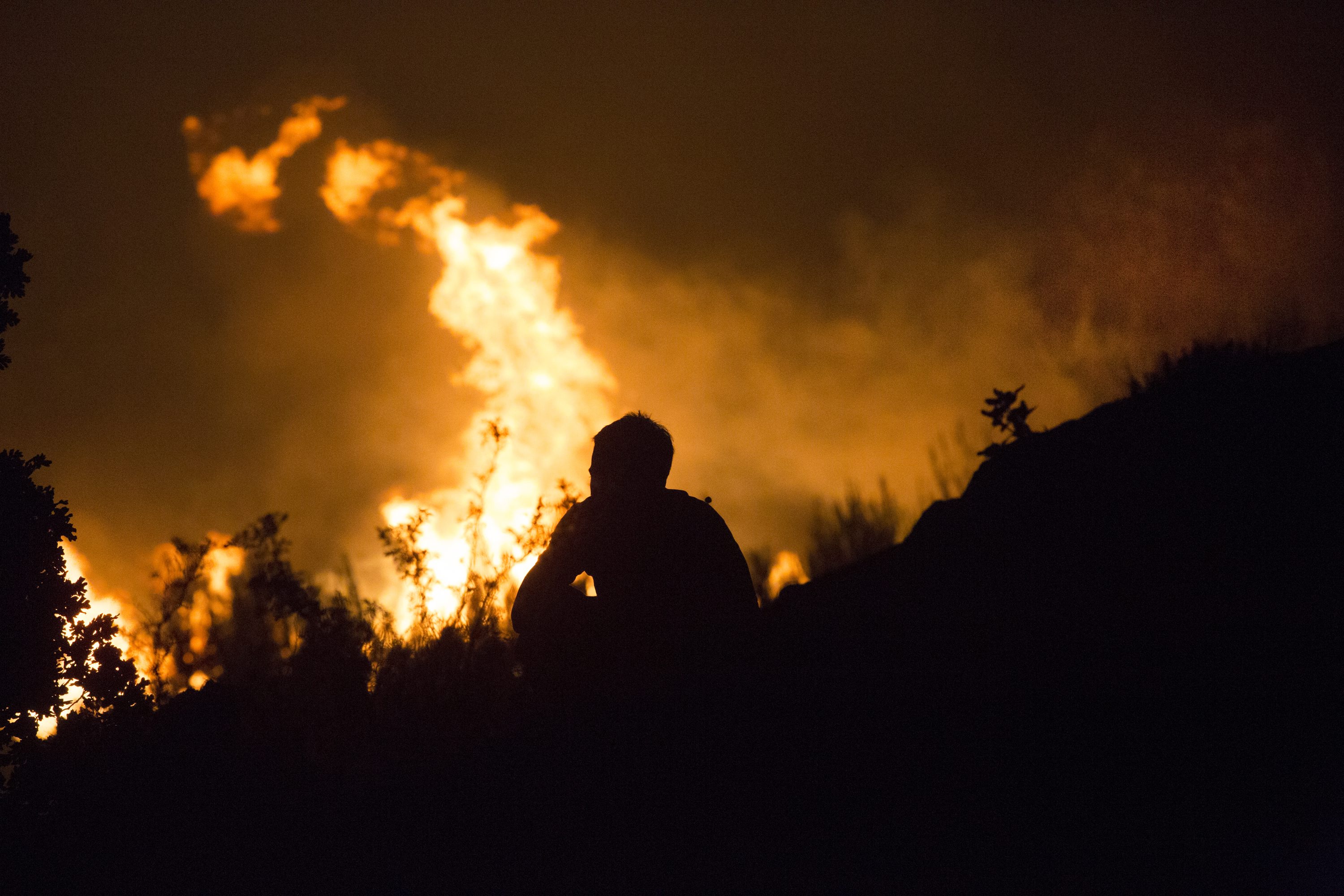 Bozidar Vukicevic / CROPIX