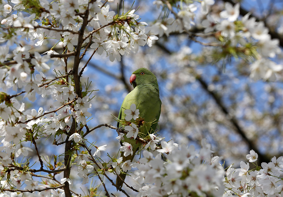 Anadolija/Yunus Kaymaz