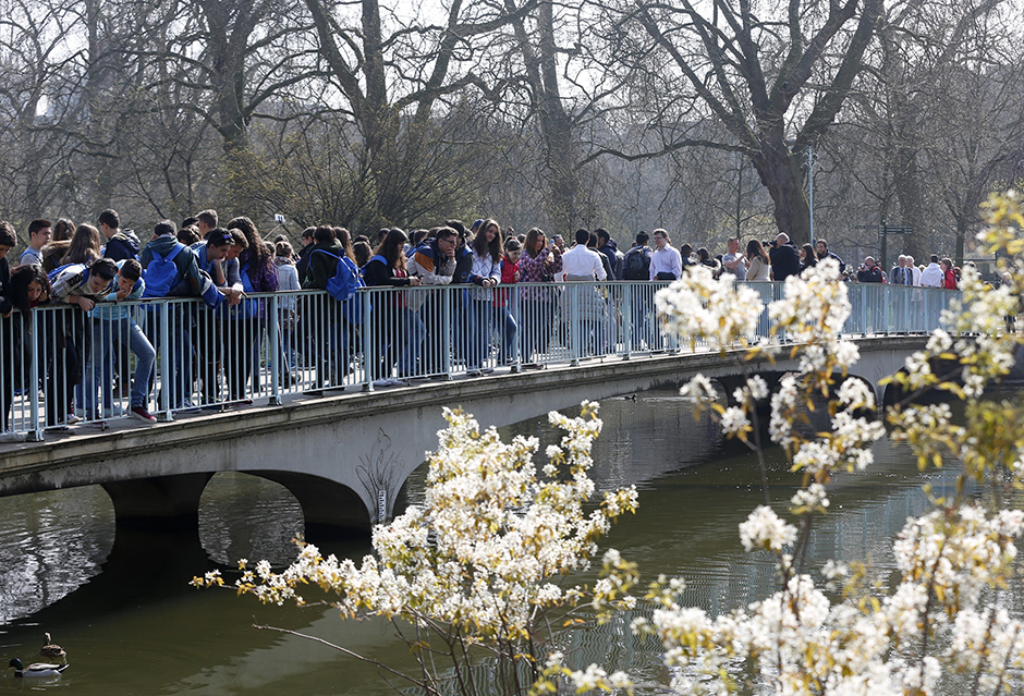 Anadolija/Yunus Kaymaz