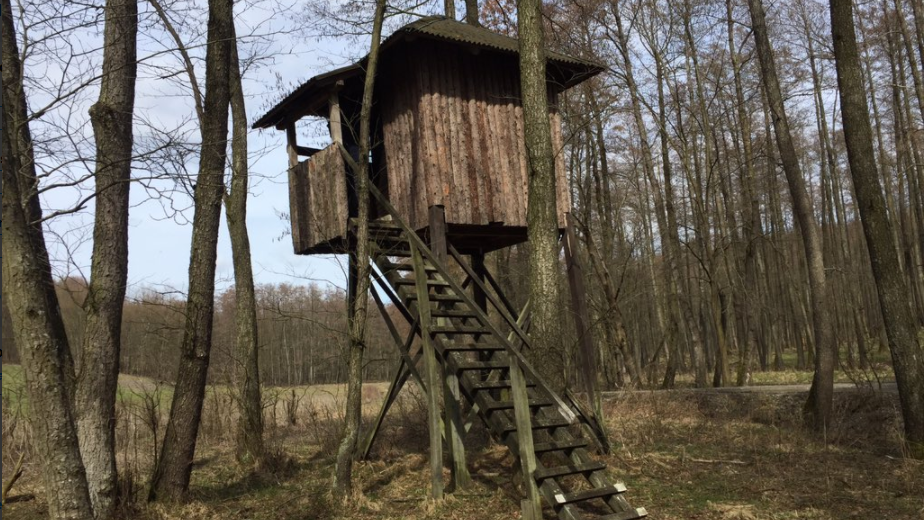 Lovište Ivica Todorić3