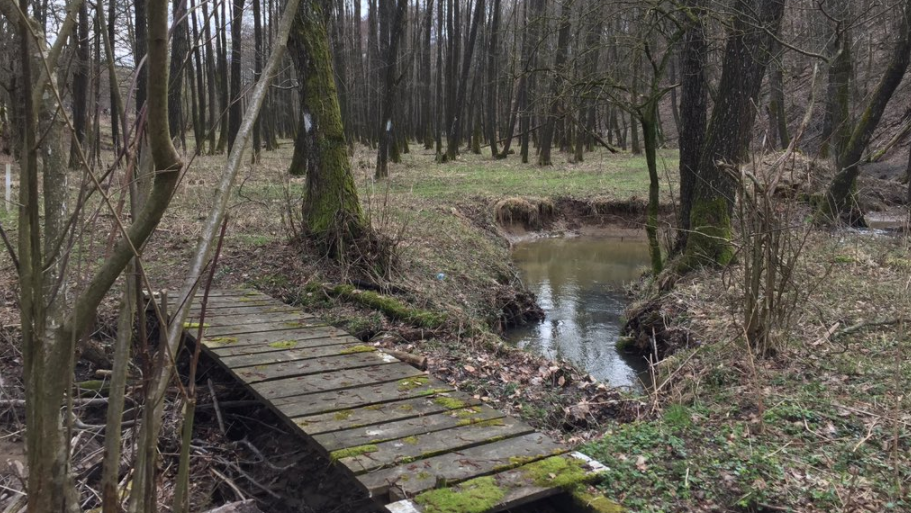 Lovište Ivica Todorić4