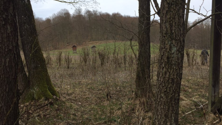 Lovište Ivica Todorić5