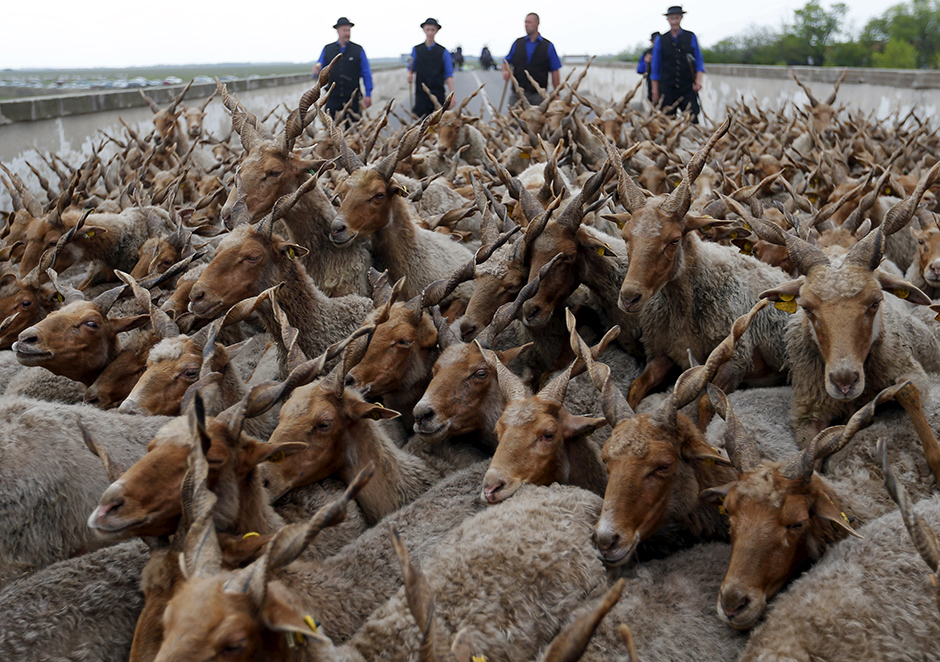 Reuters/Laszlo Balogh