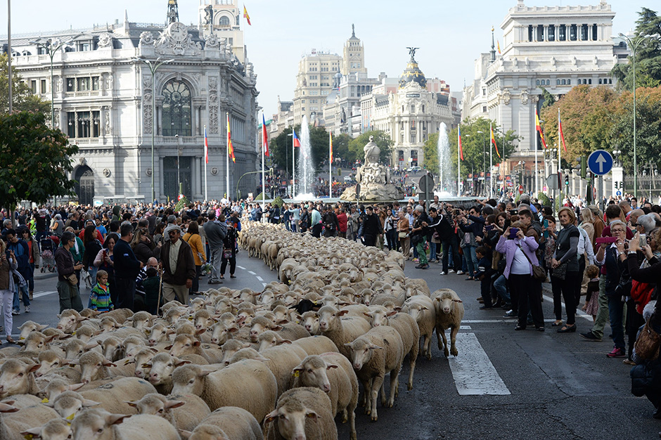 ANADOLIJA/Evrim Aydın