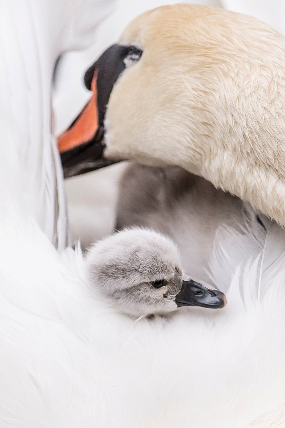 Mads Claus RasmussenRitzau Scanpix REUTERS (10)