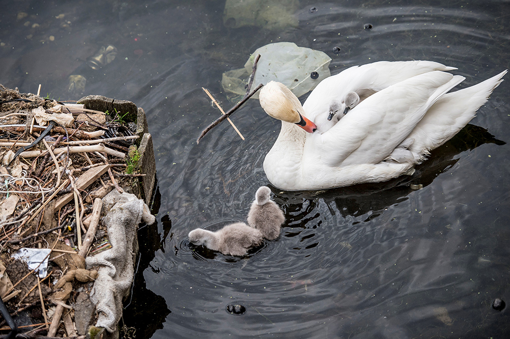 Reuters/Mads Claus Rasmussen/Ritzau Scanpix