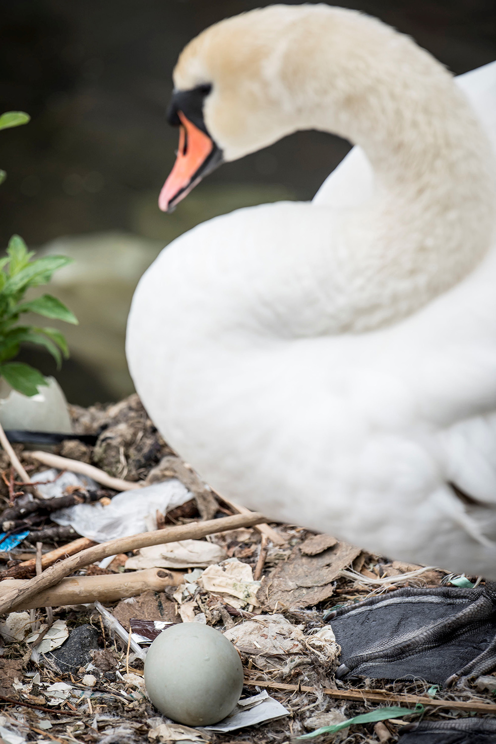 Reuters/Mads Claus Rasmussen/Ritzau Scanpix