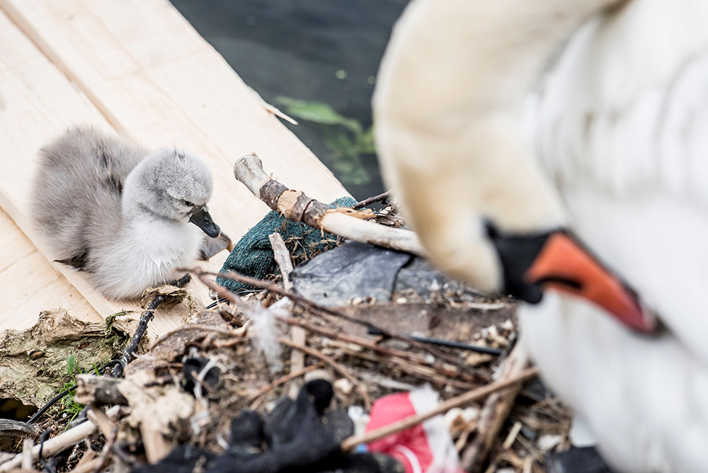 Reuters/Mads Claus Rasmussen/Ritzau Scanpix