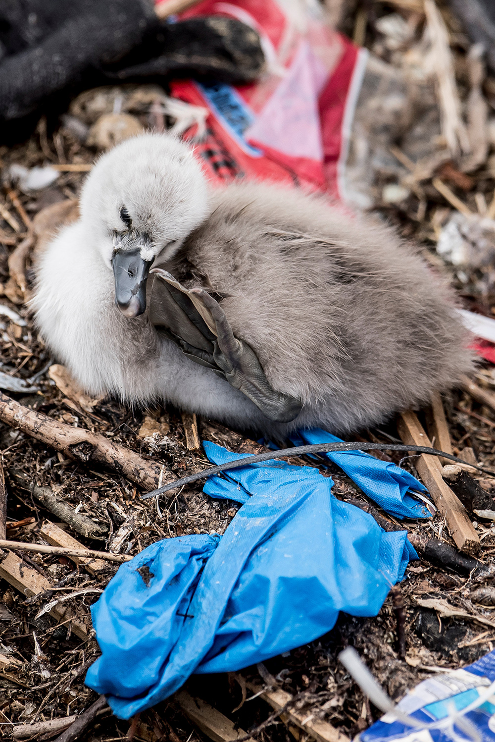 Reuters/Mads Claus Rasmussen/Ritzau Scanpix