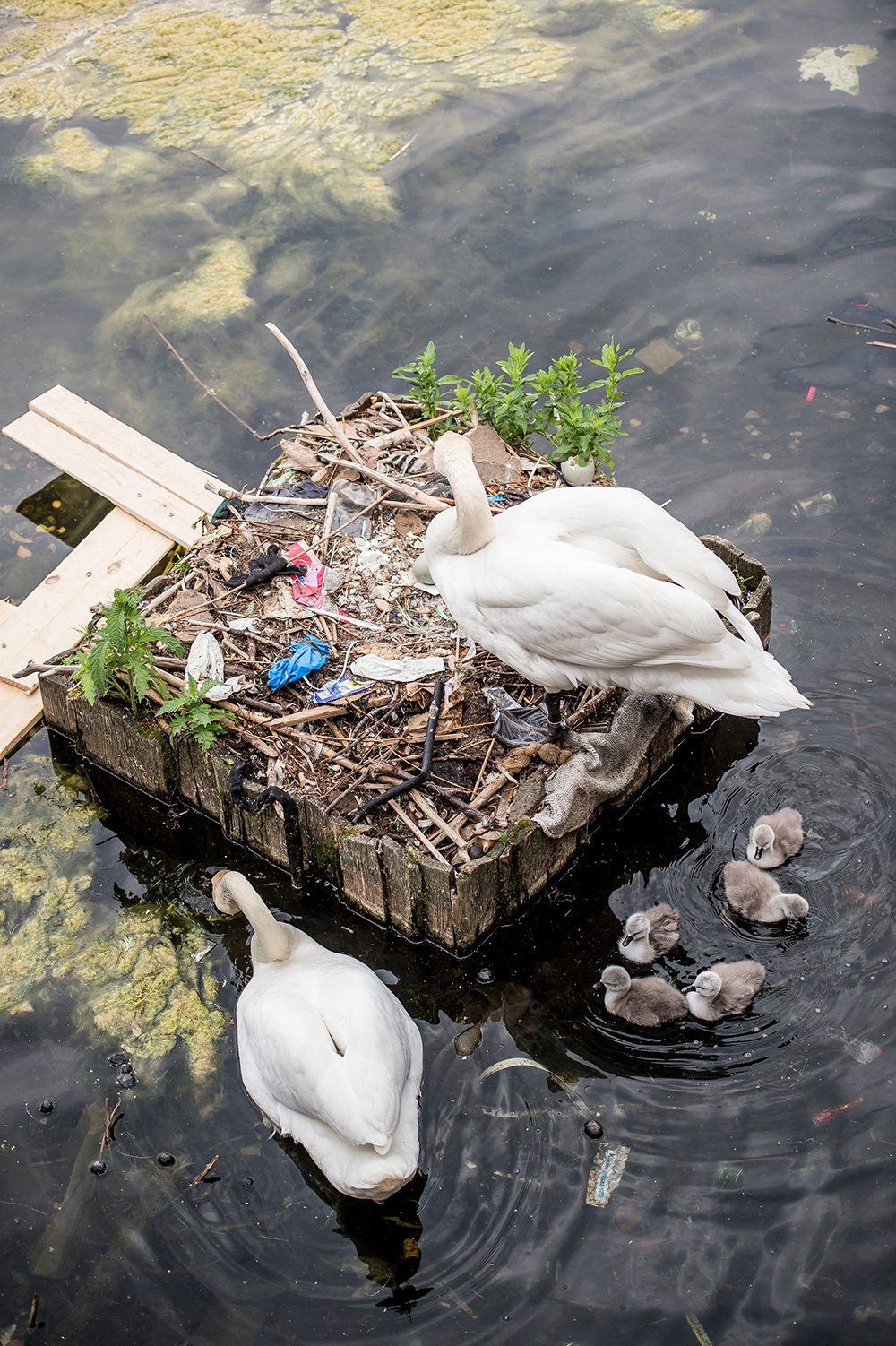 Reuters/Mads Claus Rasmussen/Ritzau Scanpix