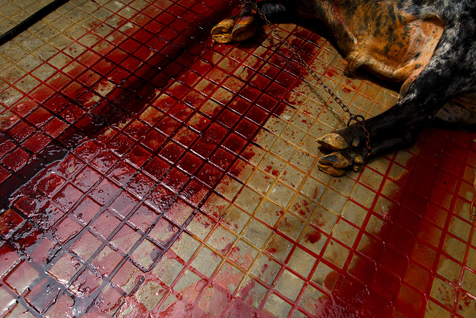 REUTERS/Marcelo del Pozo