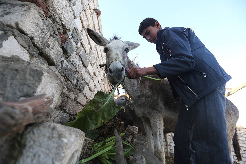 REUTERS/Mohamed Abd El Ghany