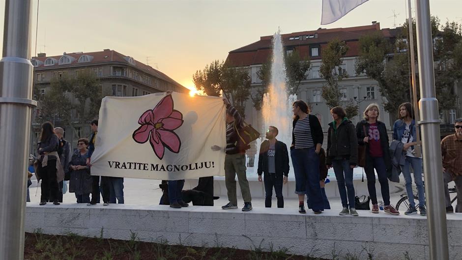 magnolija-154171.jpeg
