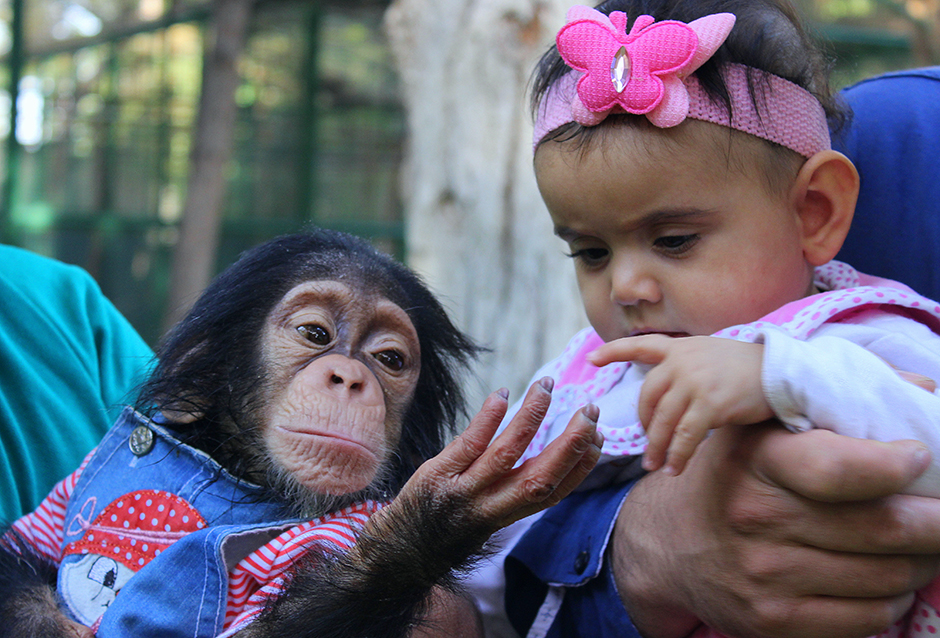 ANADOLIJA/Özkan Beyer