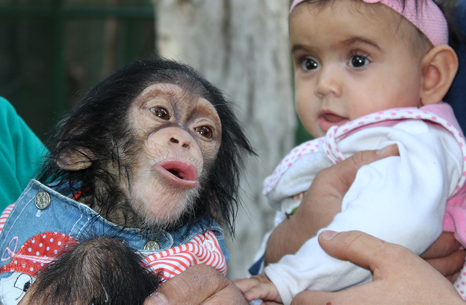 ANADOLIJA/Özkan Beyer