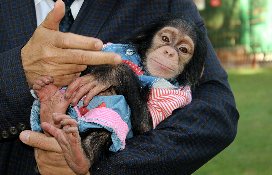 ANADOLIJA/Özkan Beyer