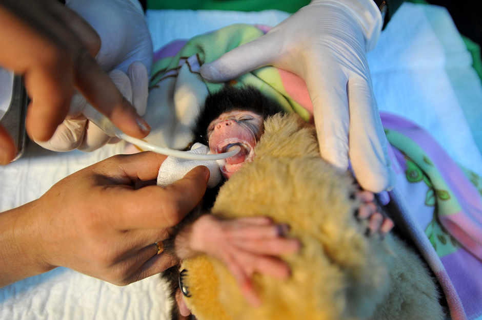 ANADOLIJA/Kerem Kocalar