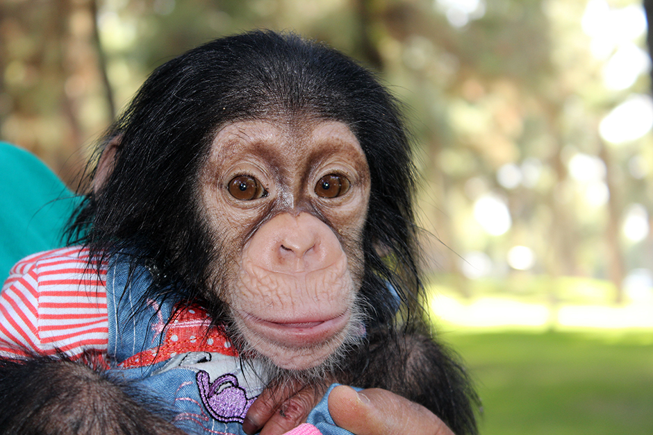 ANADOLIJA/Özkan Beyer