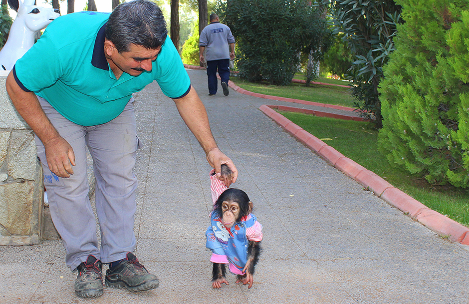 ANADOLIJA/Özkan Beyer