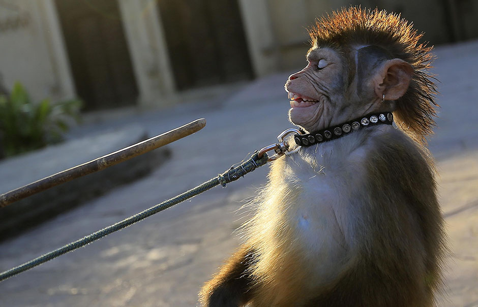 Anadolija/Metin Aktas