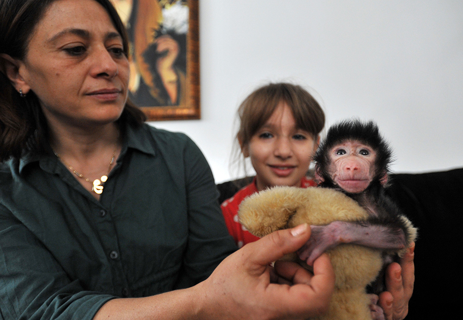 ANADOLIJA/Kerem Kocalar