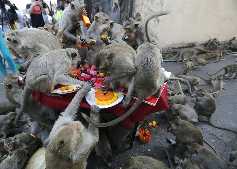 REUTERS/Damir Šagolj