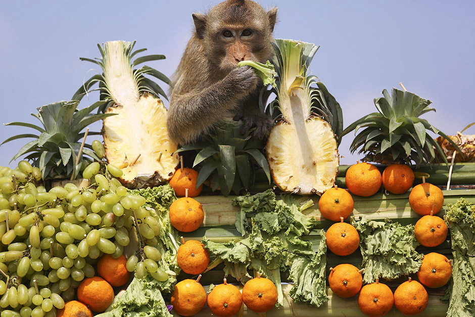 REUTERS/Damir Šagolj