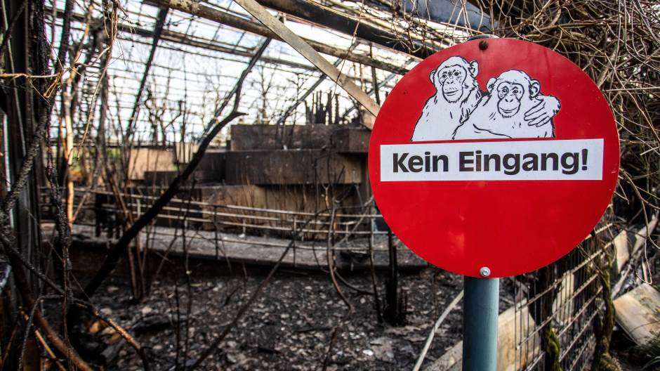 Majmuni zoološki požar