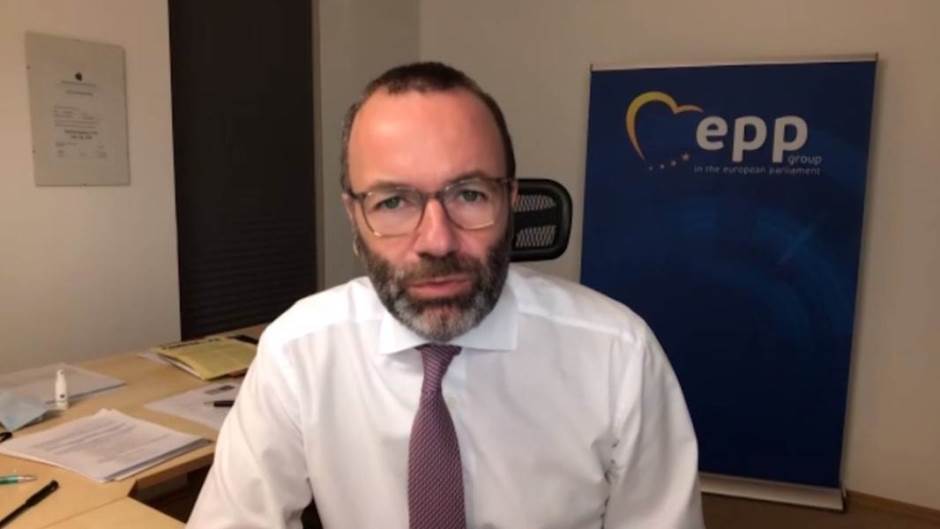 manfred weber