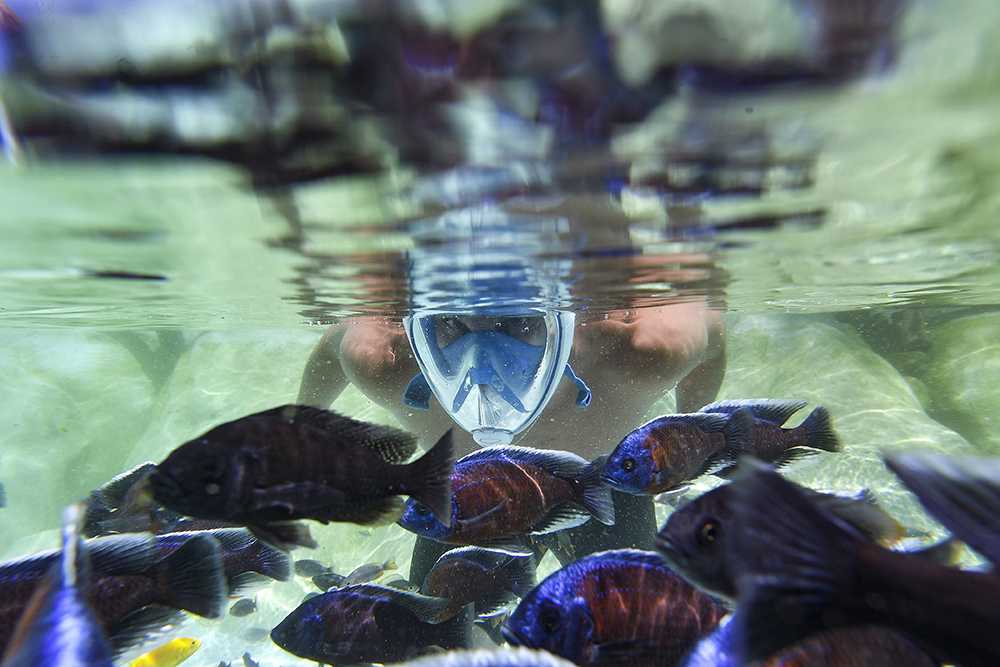 MARCO BERTORELLO  AFP  (4)