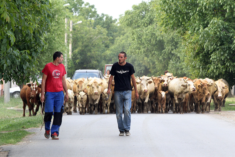 markici_prosvjed11-030715