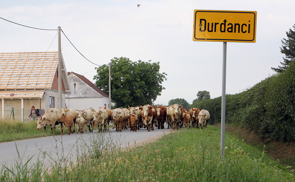 Cropix/Emica Elveđi