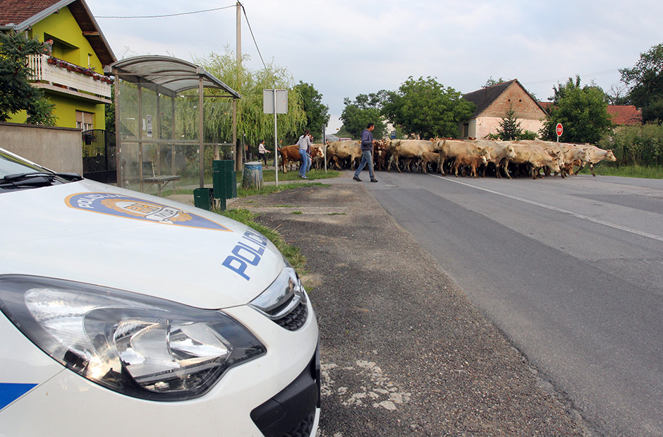 markici_prosvjed6-030715