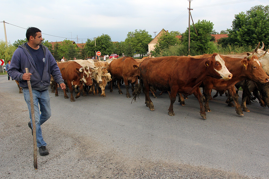 markici_prosvjed8-030715