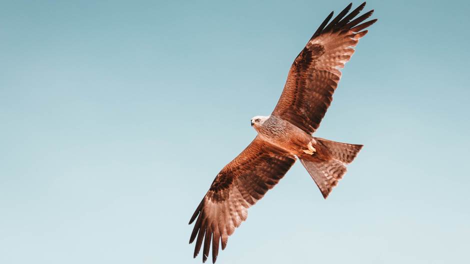 martin-adams-736967-unsplash