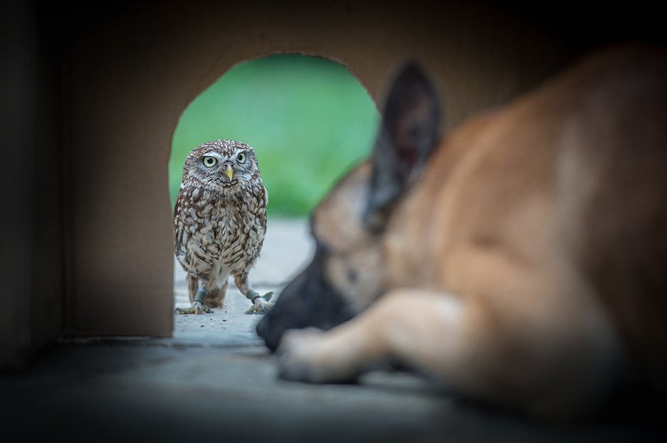 Tanja Brandt