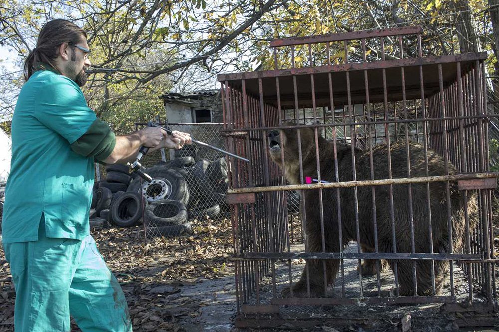 TANJUG/Ministarstvo poljoprivrede i zaštite životne sredine
