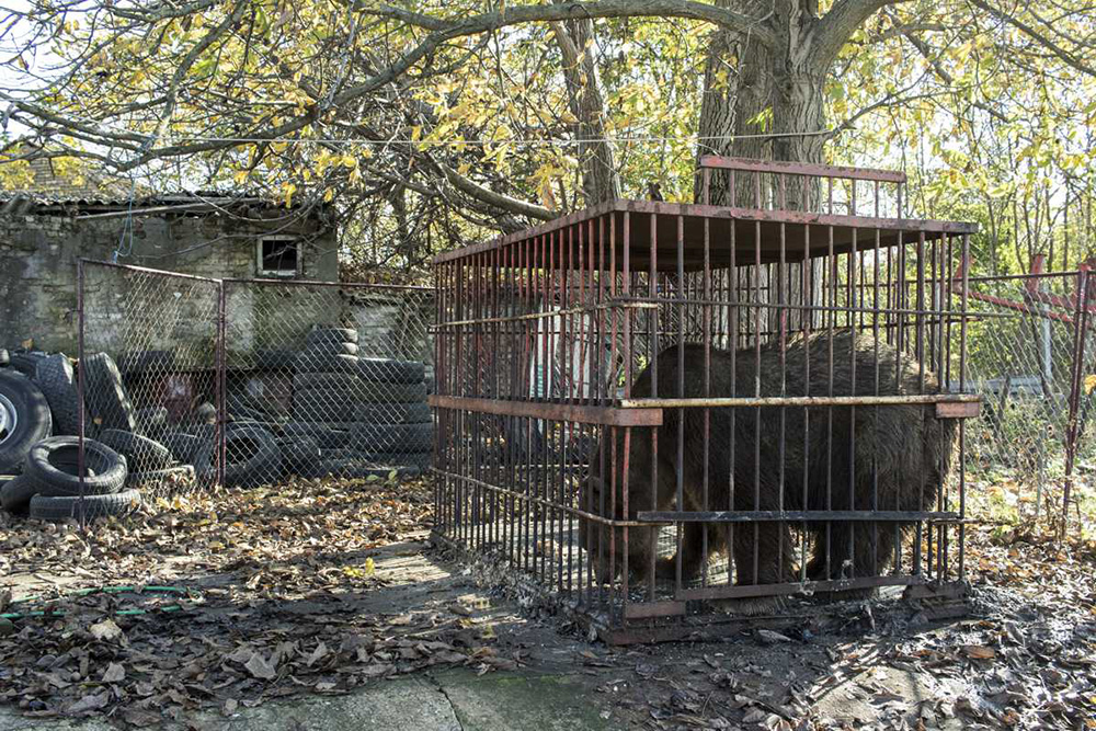 TANJUG/Ministarstvo poljoprivrede i zaštite životne sredine