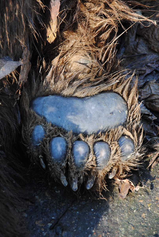 TANJUG/Ministarstvo poljoprivrede i zaštite životne sredine