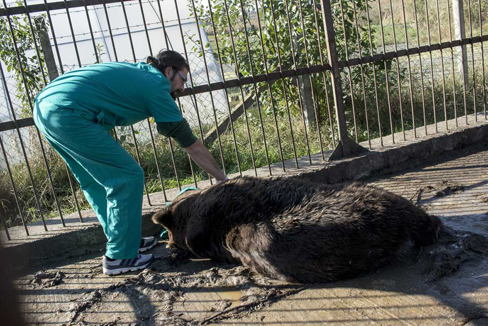 TANJUG/Ministarstvo poljoprivrede i zaštite životne sredine