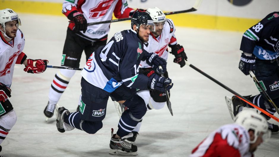 medvescak_avangard