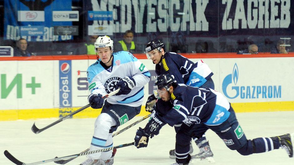 medvescak_sibirDamirKrajacCROPIX