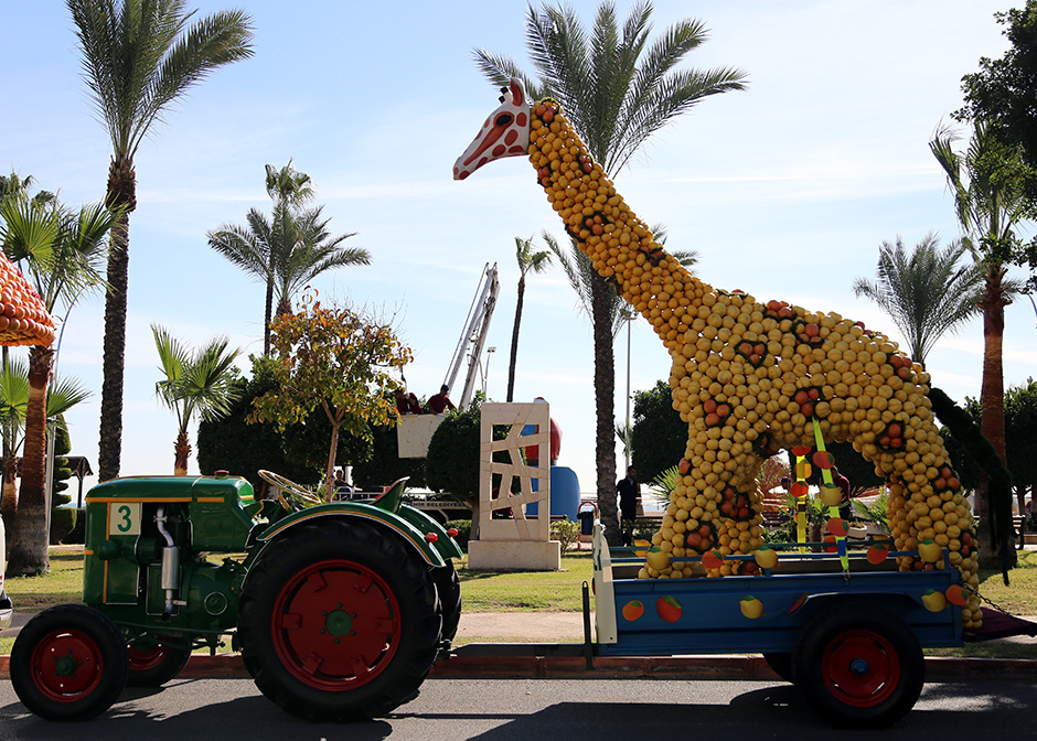 ANADOLIJA/Lale Köklü