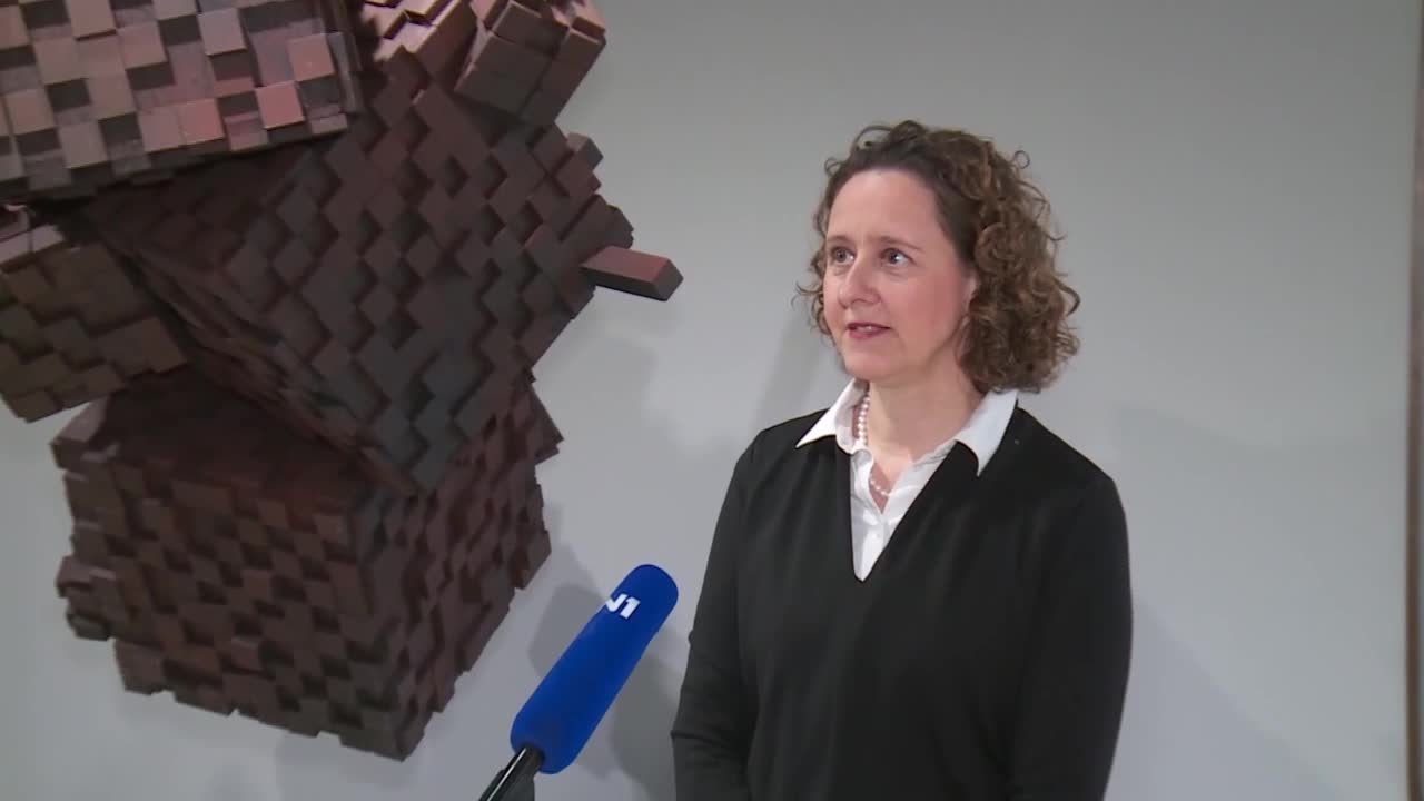 Ministrica osuđuje napad na novinare, misli da Vlada konzistentno osuđuje napade