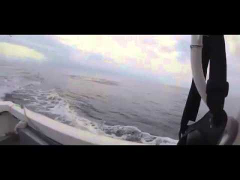 Morski pas prestravio ribare