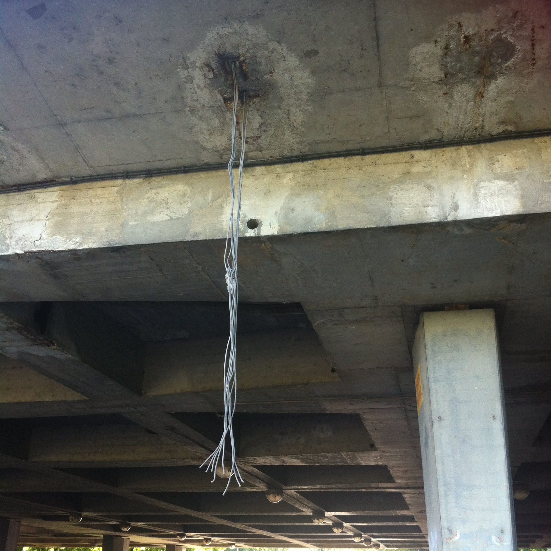 Andreja Žapčić / N1