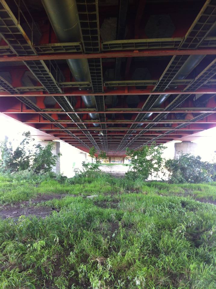 Andreja Žapčić / N1