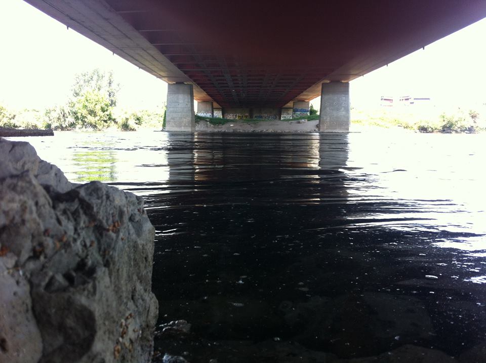 Andreja Žapčić / N1